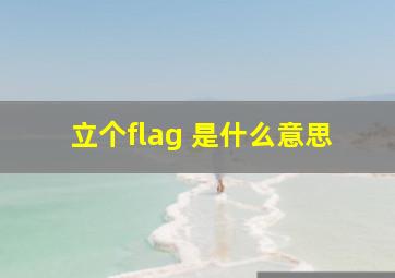 立个flag 是什么意思